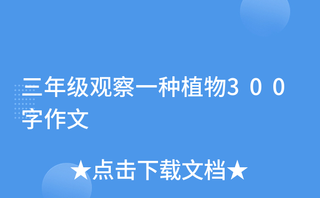 三年级观察一种植物300字作文