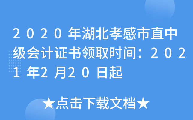 2020Тֱм(j)(hu)Ӌ(j)C(sh)I(lng)ȡr(sh)g2021220