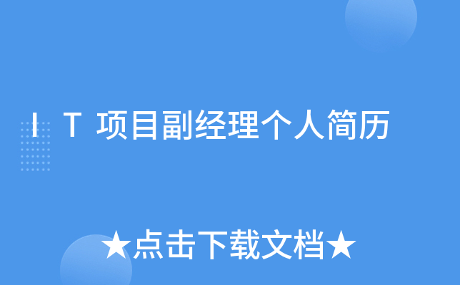 IT项目副经理个人简历