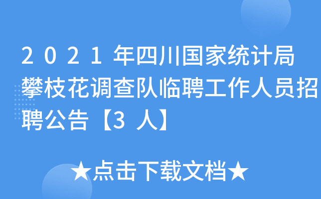 2021年四川国家统计局攀枝花调查队临聘工作人员招聘公告【3人】