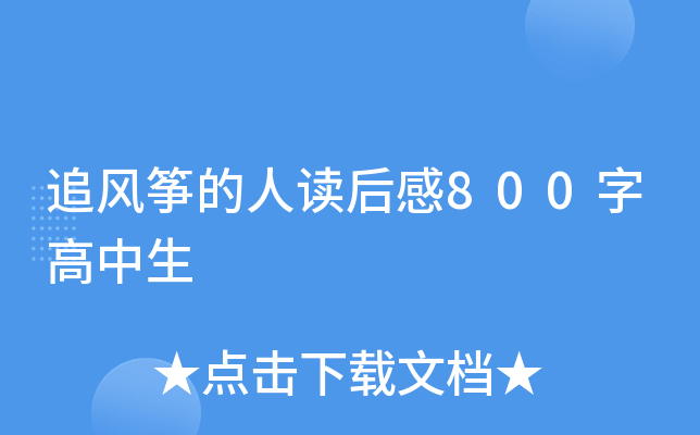 追风筝的人读后感800字高中生