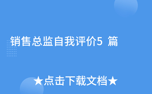 销售总监自我评价5篇