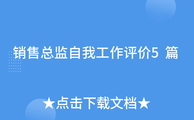 销售总监自我工作评价5篇