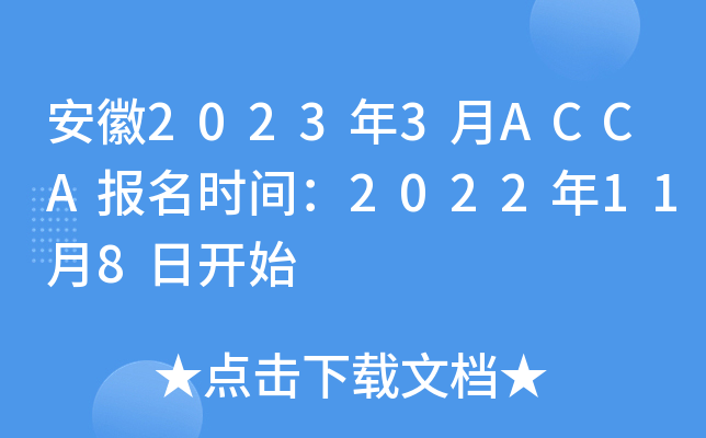 20233ACCA(bo)r(sh)g2022118_ʼ