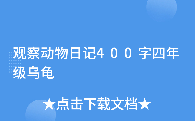 观察动物日记400字四年级乌龟