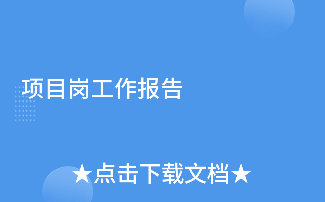 项目岗工作报告