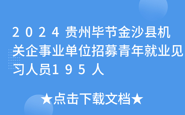 2024贵州毕节金沙县机关企事业单位招募青年就业见习人员195人