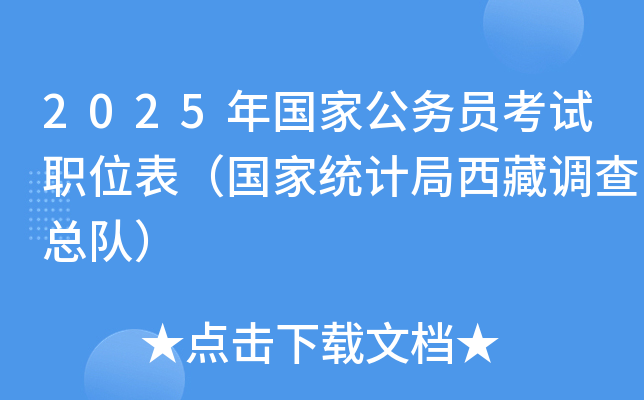 2025年国家公务员考试职位表（国家统计局西藏调查总队）