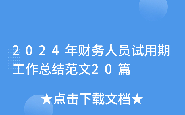 2024年财务人员试用期工作总结范文20篇
