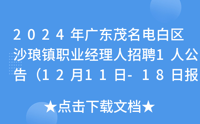 2024年广东茂名电白区沙琅镇职业经理人招聘1人公告（12月11日-18日报名）