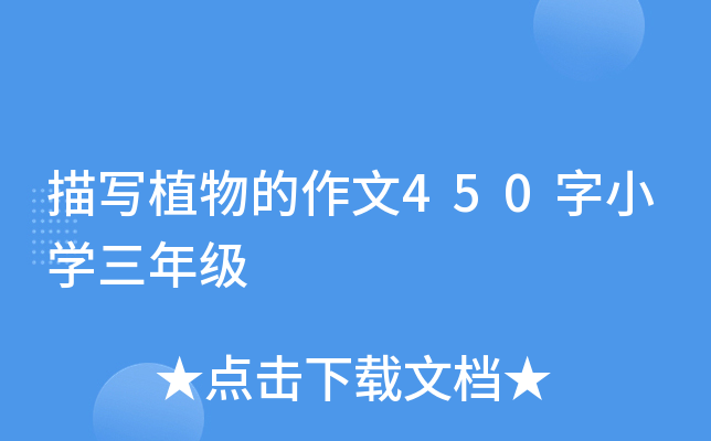茑ֲ450СW(xu)꼉