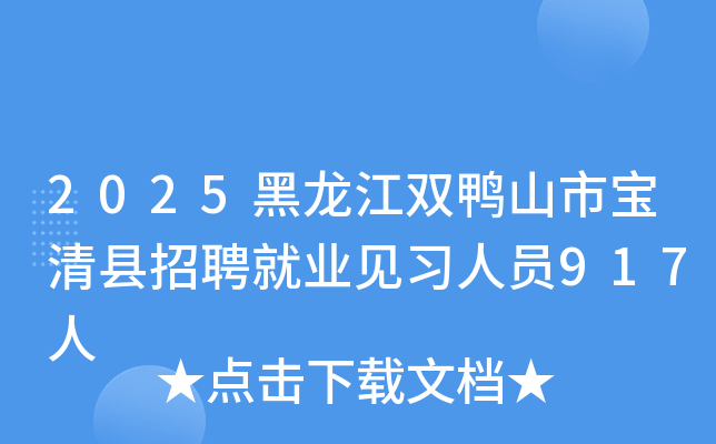 2025黑龙江双鸭山市宝清县招聘就业见习人员917人