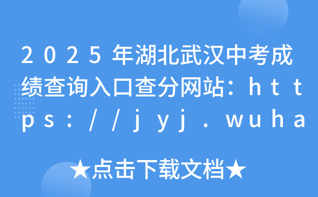 2025年湖北武汉中考成绩查询入口查分网站：https://jyj.wuhan.gov.cn/