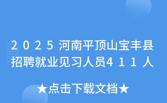 2025河南平顶山宝丰县招聘就业见习人员411人
