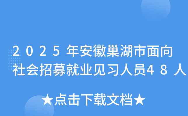 2025年安徽巢湖市面向社会招募就业见习人员48人