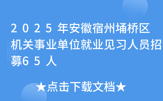 2025年安徽宿州埇桥区机关事业单位就业见习人员招募65人