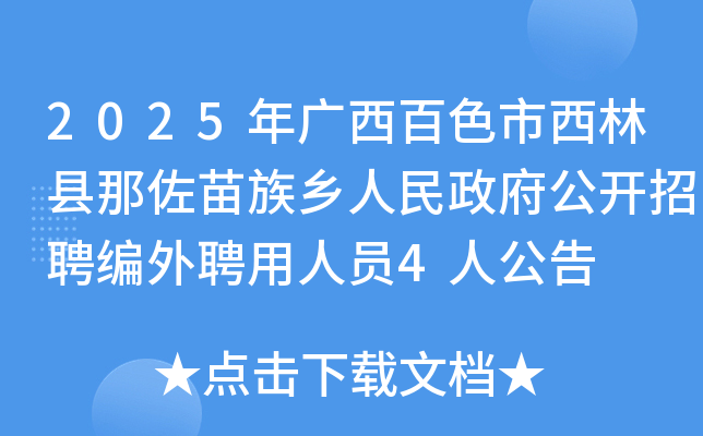 2025年广西百色市西林县那佐苗族乡人民政府公开招聘编外聘用人员4人公告