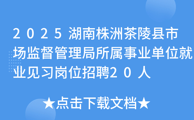 2025湖南株洲茶陵县市场监督管理局所属事业单位就业见习岗位招聘20人