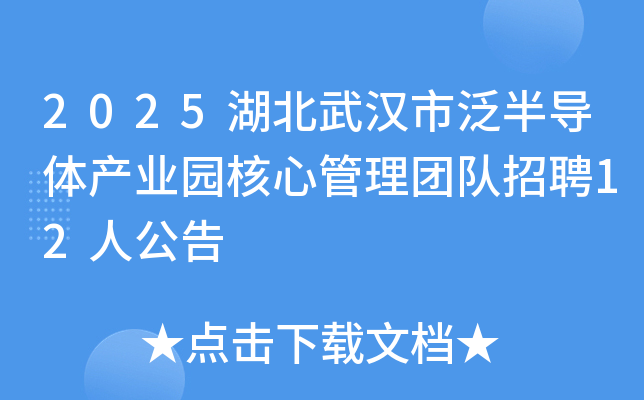 2025�����人�з��뵼���ҵ԰���Ĺ����Ŷ���Ƹ12�˹���