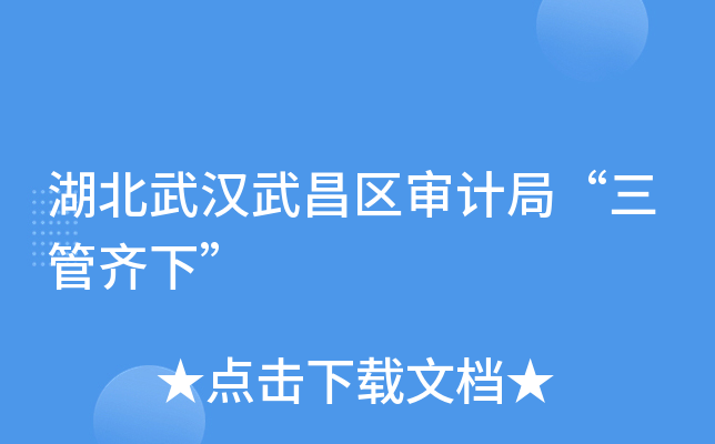 湖北武汉武昌区审计局“三管齐下”