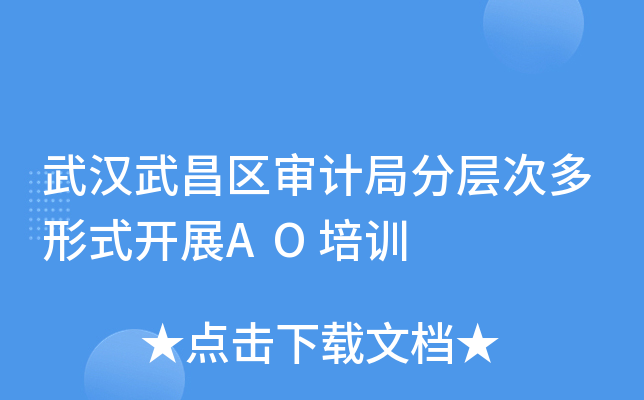 武汉武昌区审计局分层次多形式开展AO培训
