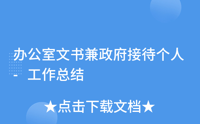 办公室文书兼政府接待个人-工作总结