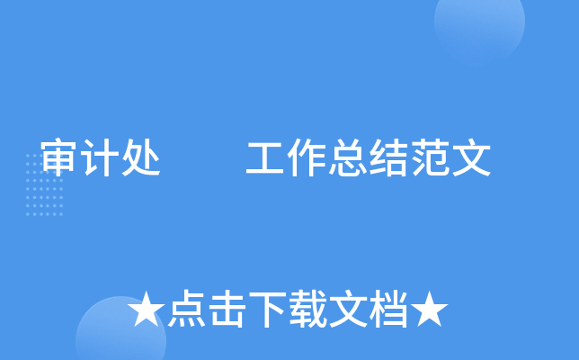 审计处  工作总结范文