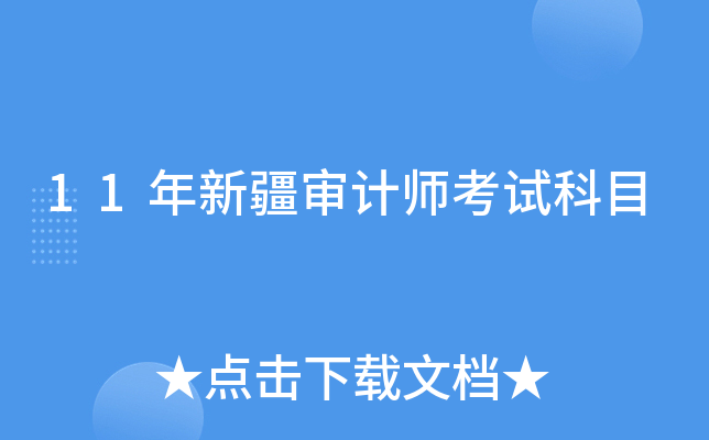 11年新疆审计师考试科目