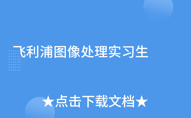 飞利浦图像处理实习生