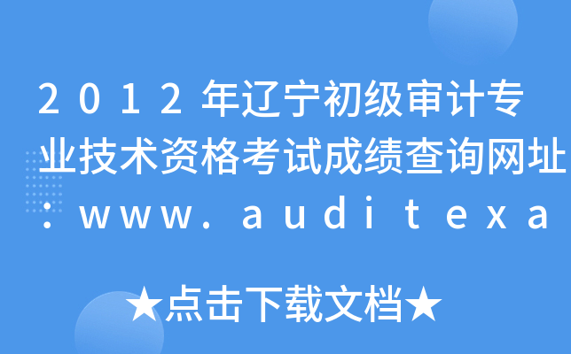 2012רҵʸԳɼѯַwww.auditexam.cn