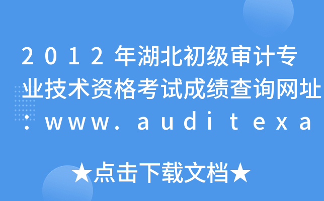 2012年湖北初级审计专业技术资格考试成绩查询网址：www.auditexam.cn