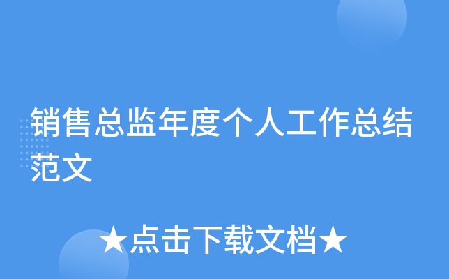 销售总监年度个人工作总结范文