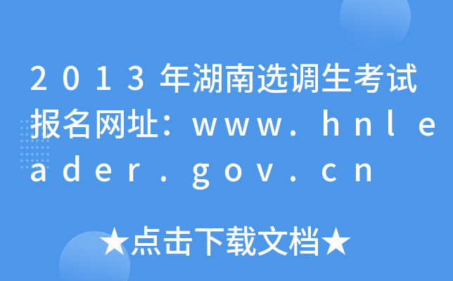 2013x{(dio)ԇW(wng)ַwww.hnleader.gov.cn