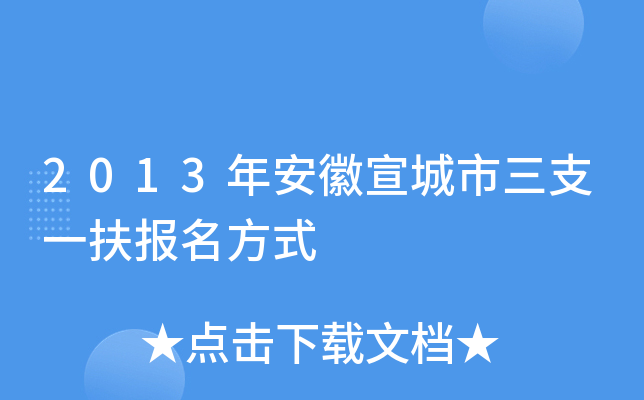 2013갲֧һʽ