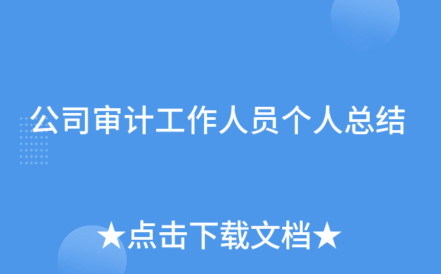 公司审计工作人员个人总结