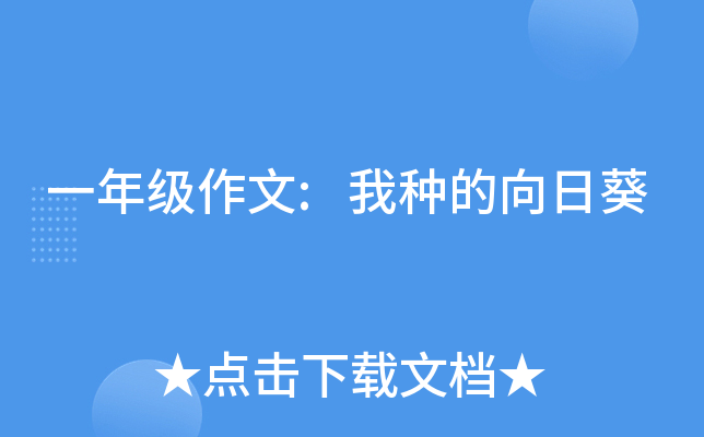 一年级作文:我种的向日葵