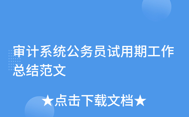 审计系统公务员试用期工作总结范文