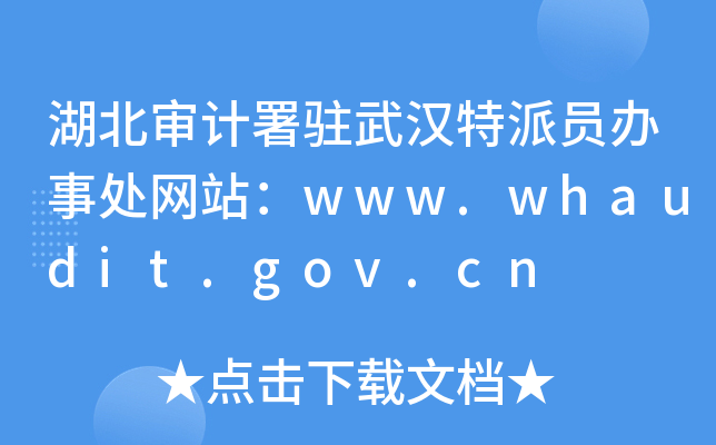 Ӌ(j)vhɆTk̎W(wng)վwww.whaudit.gov.cn