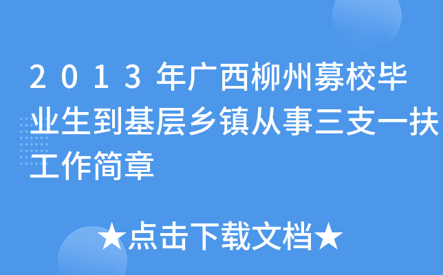 2013VļУI(y)l(xing)(zhn)֧һ(jin)