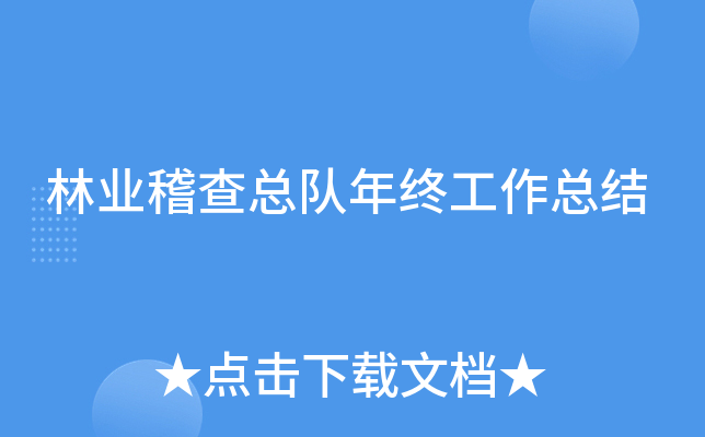 林业稽查总队年终工作总结