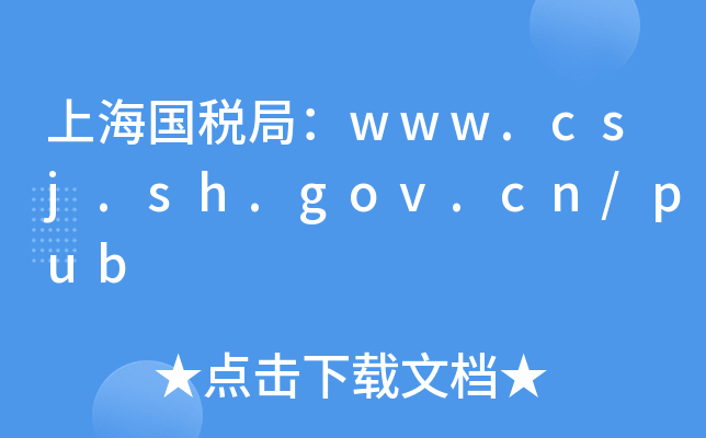 上海国税局：www.csj.sh.gov.cn/pub