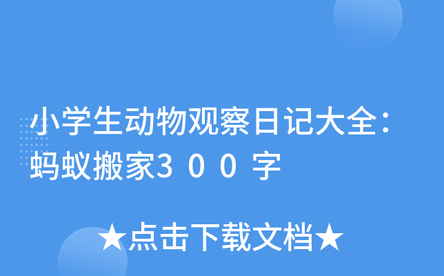 СW^ӛȫΛρ300