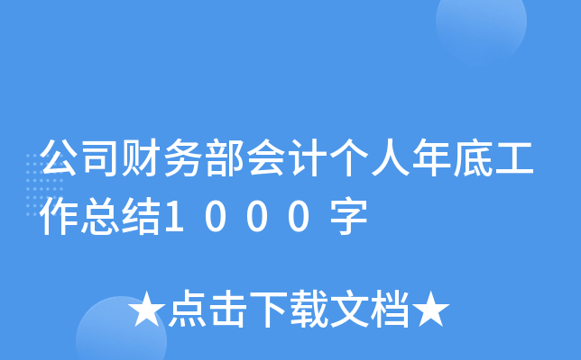 公司财务部会计个人年底工作总结1000字