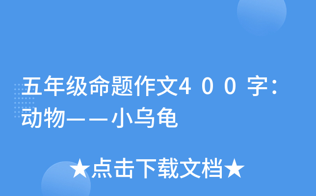五年级命题作文400字：动物——小乌龟