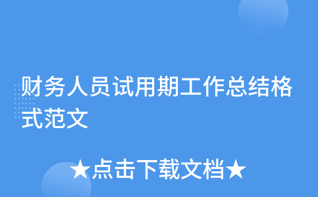 财务人员试用期工作总结格式范文