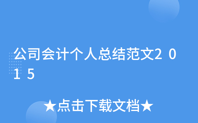 公司会计个人总结范文2015