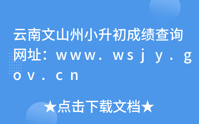 云南文山州小升初成绩查询网址：www.wsjy.gov.cn