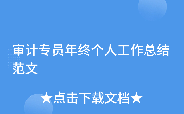 审计专员年终个人工作总结范文