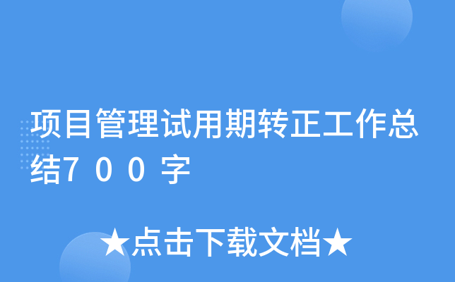 项目管理试用期转正工作总结700字