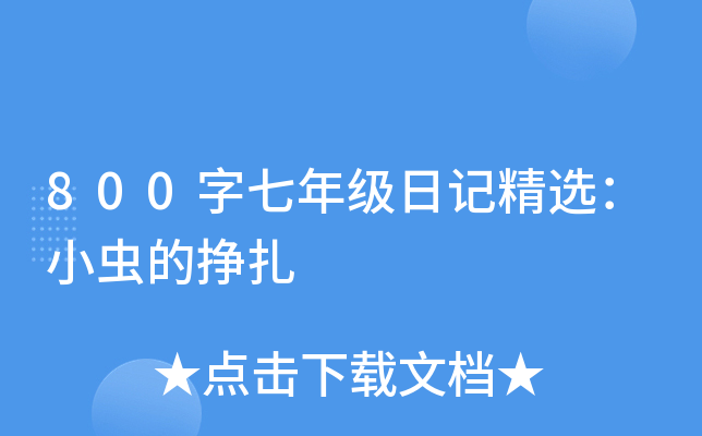800꼉ӛxСxĒ